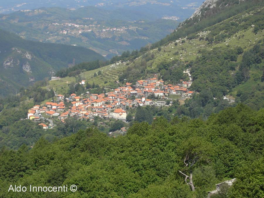 PANORAMA DI VINCA